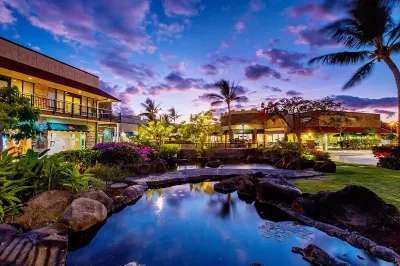 Direct Ocean Front/Ground FLR, Panoramic Drs, 2 Bed/2 Bath EN Suites, Discounts