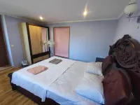 The Friends Hostel Hotels in Kumistavi