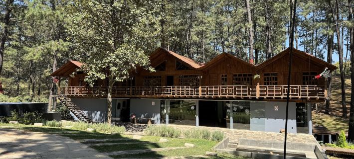 Pine Tree Mazamitla Hotel Boutique & Cabañas Hotels in Mazamitla