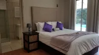 Luxury Heights Bed and Breakfast- Pool Ready for Use