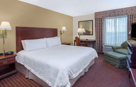 希爾頓歡朋酒店-科尼爾斯