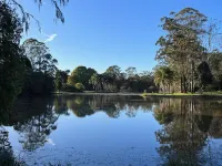 Maleny District - Charming Cottage in Witta 2 Beds Hôtels à : Coolabine
