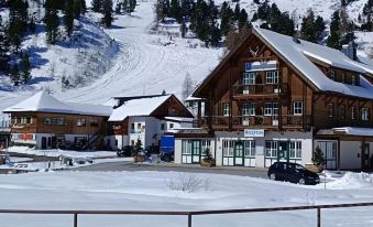 Apartment in Alps Near Ski Slopes