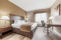 Best Western Circus City Inn Hotels in Clay Township