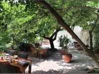 Anfora Otel & Sarap Evi Hotels in Edremit