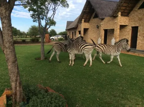 더 발 게스트하우스