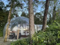 Bubble Lodge Bois Chéri Plantation Các khách sạn ở Albion