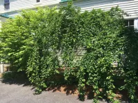 Perry's Motel and Cottages