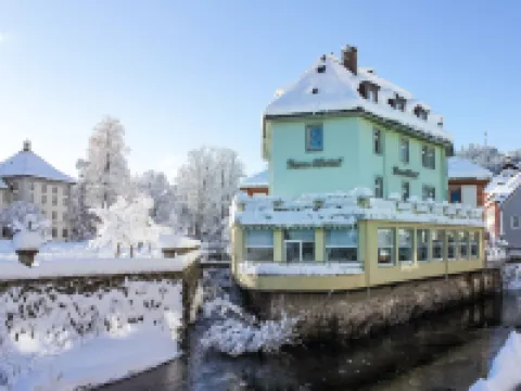 Dom-Hotel Hotels in Todtmoos