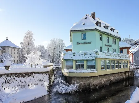 Dom-Hotel Отели в г. Хёхеншванд