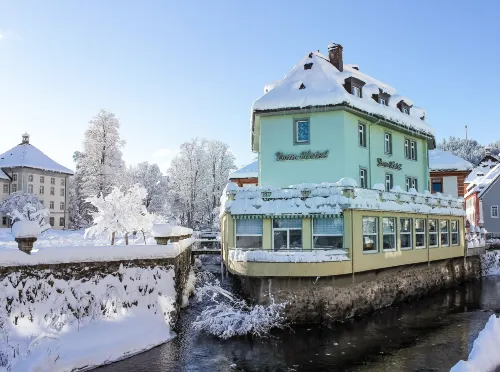 Dom-Hotel Hotels in Dachsberg