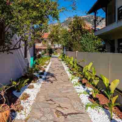 Vira Apart Hotel Hotel Exterior