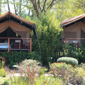 Wildebeest Eco Camp