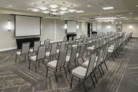Hilton Garden Inn DFW North Grapevine Hotels in Grapevine