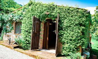 Podere Sette Piagge