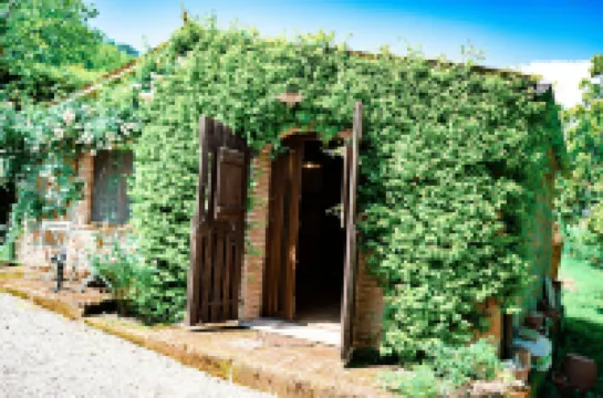 Podere Sette Piagge Hotels in 