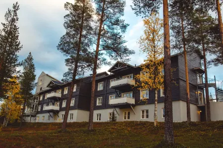 Hotel Ylläsrinne Отели в г. Fell Lapland