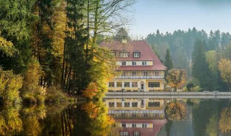 Hotel Waldsee