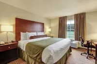 Cobblestone Hotel & Suites - Waynesboro