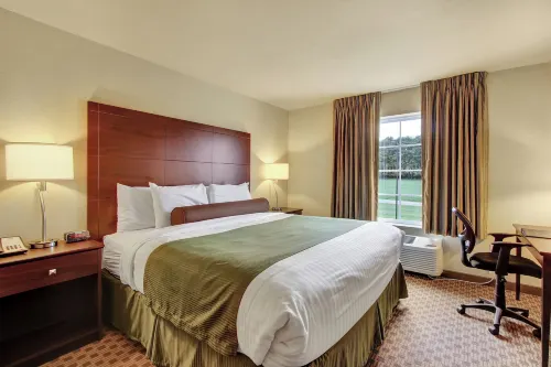 코블스톤 호텔 & 스위트 웨인즈버러 루저빌 호텔