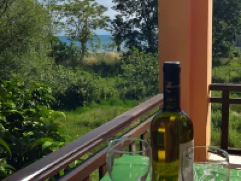 Eleni Apartments Hotels in Roda