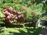 Villa Maora Hotels near HELILAGON