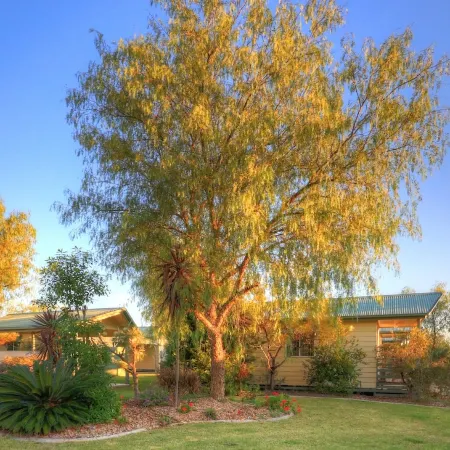 PepperTree Cabins, Kingaroy