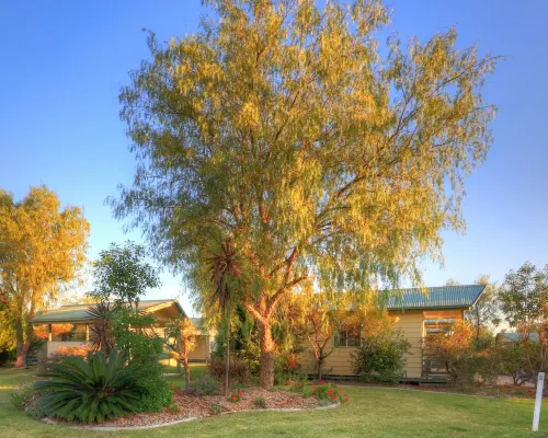 PepperTree Cabins, Kingaroy Hotels in Kingaroy
