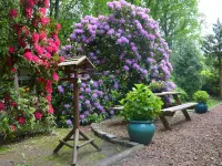 A Detached Bungalow with Outdoor Fireplace Covered Terrace and Pond in a Forest Plot