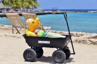 Chogogo Dive & Beach Resort Curacao - Beach