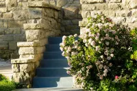 Karoo Soul Hotels in Oudtshoorn