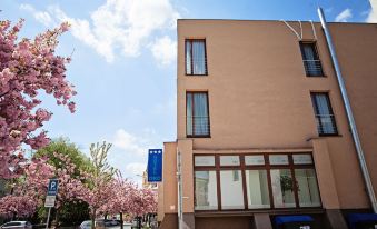 Hotel Oko