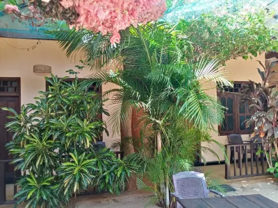 Surf & Relax Inn Arugambay Hotels near Arugam Bay