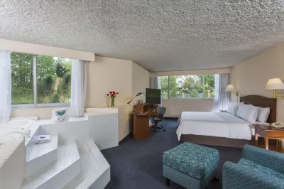 Gamma Pachuca Hotels in 