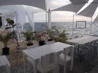 Seascape Beach Resort Oslob Hotels in Oslob