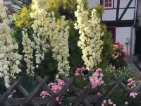 Gesindehaus Bornecke Hotels in Blankenburg