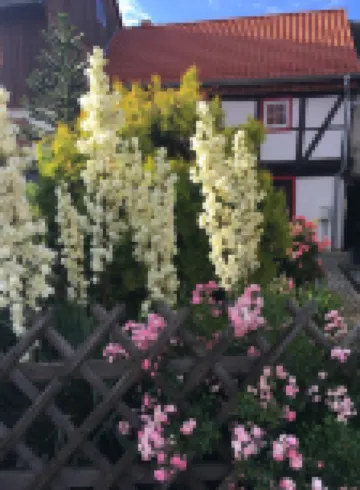 Gesindehaus Bornecke