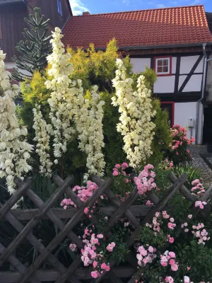 Gesindehaus Bornecke Hotels in Blankenburg