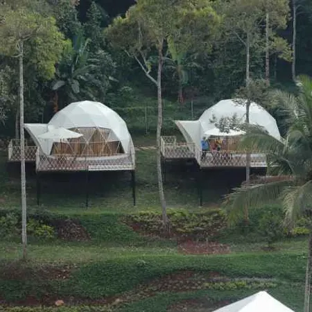 Dmangku Farm Mancak Serang