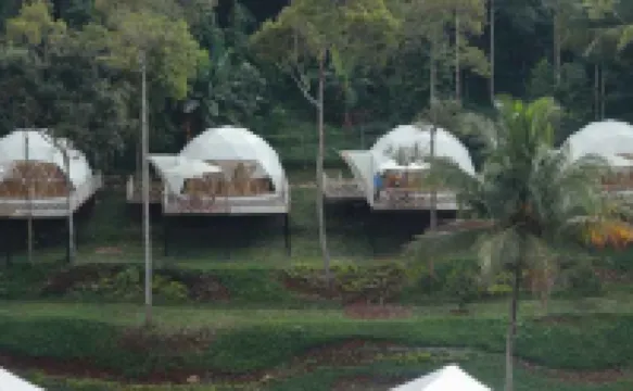 Dmangku Farm Mancak Serang