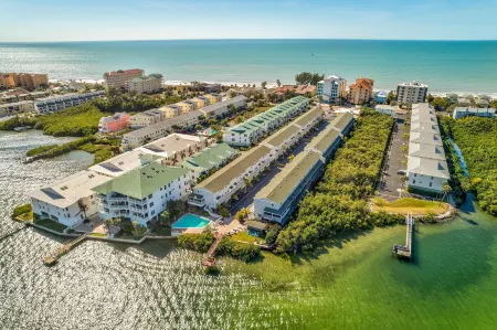 Sea Shell 14 - Premier