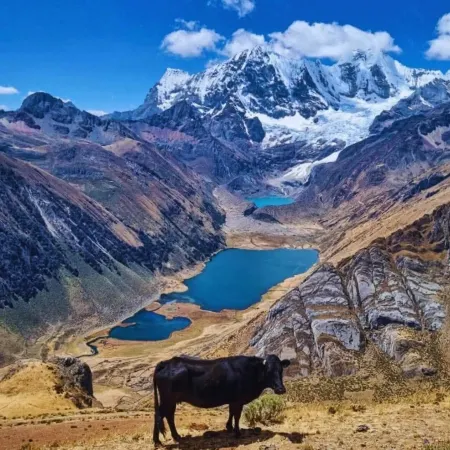 Huayhuash Hotsprings Trek net price