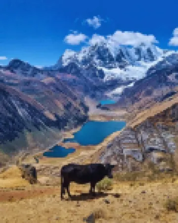 ワイワシュ ホットスプリングス トレック ネット プライス