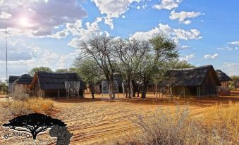 Blanco Hunting Safaris Game Ranch