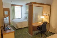 SpringHill Suites Sumter Hotels in Sumter
