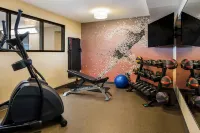Country Inn & Suites by Radisson, Grandville-Grand Rapids West, MI - Gym