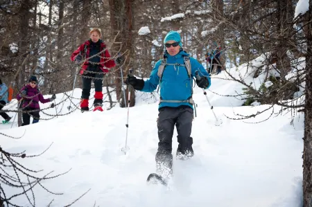 Chalet la VIE Sauvage