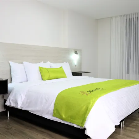 Arame Hotel Отели в г. Энвигадо