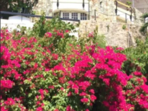 Fort Burt Hotel Hotels in St. John Island