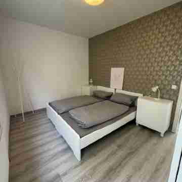 Taunus Paradies - Holiday home in the heart of nature. Pet friendly! Rooms